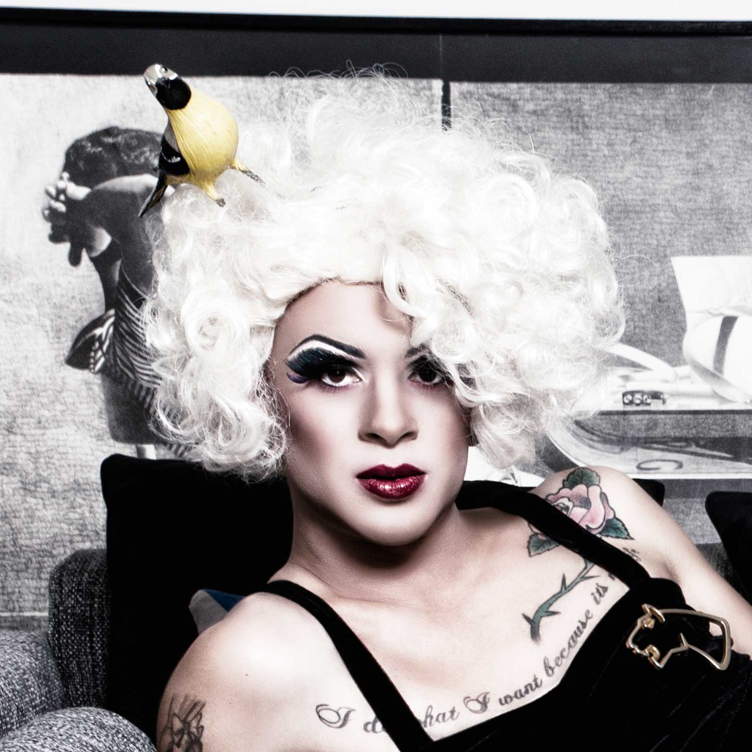 Drag Queen Perücken
